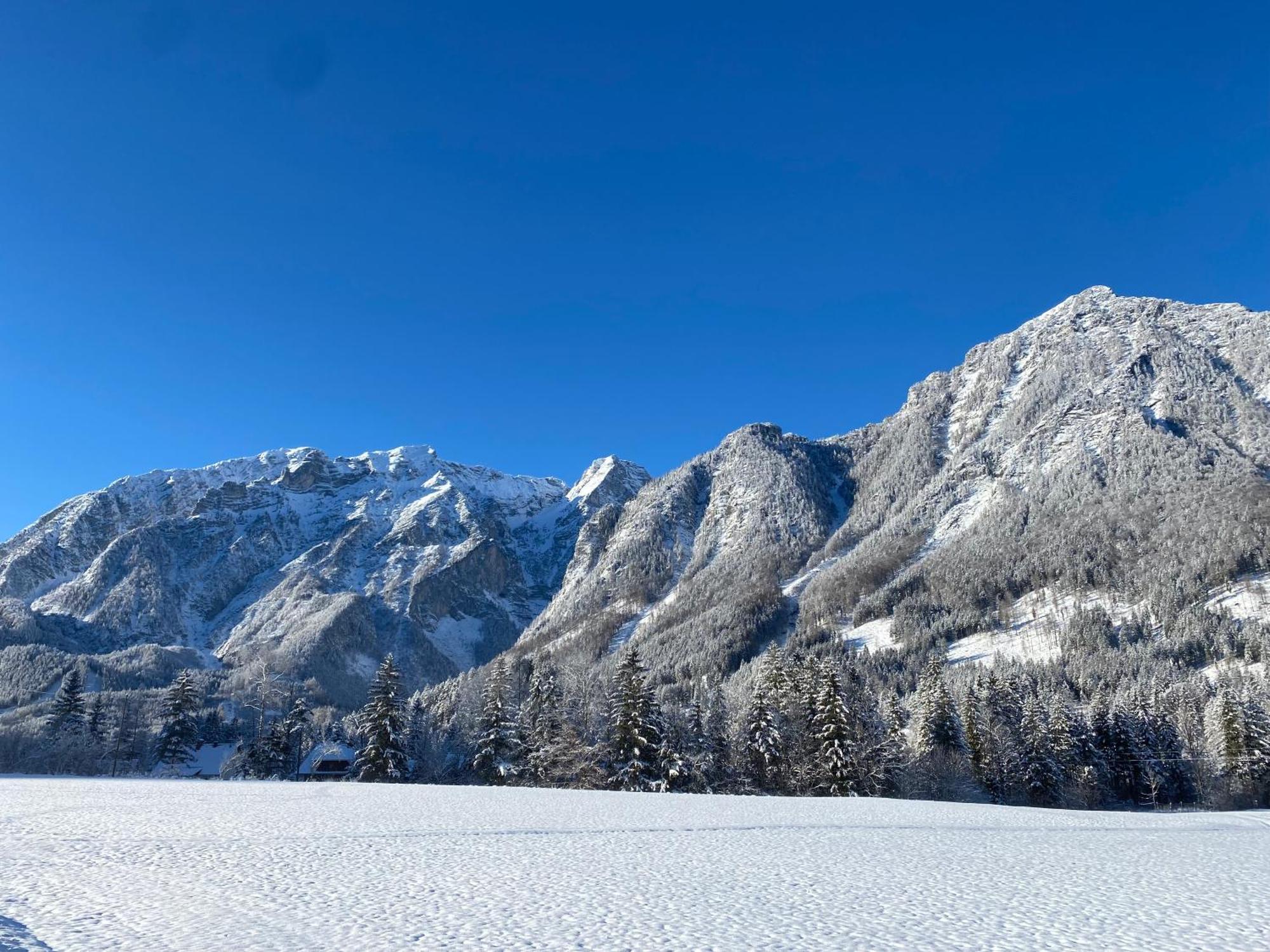Chalet Am Weissenbach هينترستودر المظهر الخارجي الصورة
